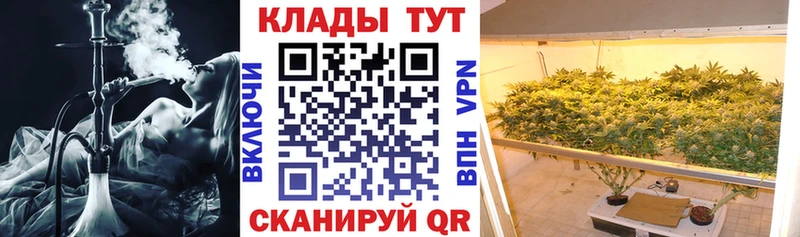 Магазины продажи наркотиков Гатчина Галлюциногенные грибы МАРИХУАНА Cocaine