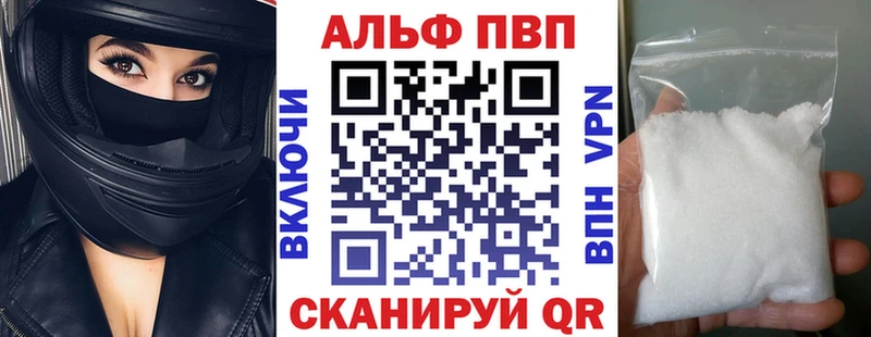 A PVP СК  Гатчина 