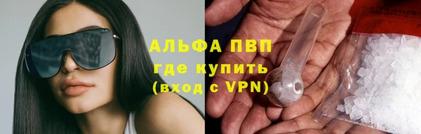 эйфоретик Бородино