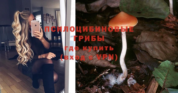 эйфоретик Бородино