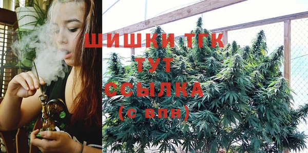 эйфоретик Бородино
