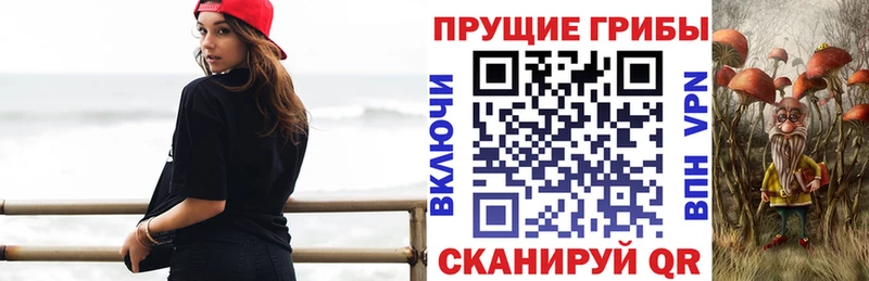 закладки  мега онион  Галлюциногенные грибы Magic Shrooms  Гатчина 