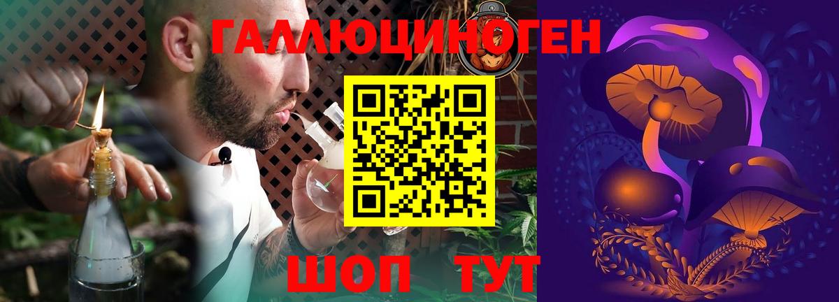 Псилоцибиновые грибы мицелий Гатчина